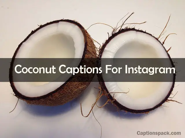 150+ Coconut Captions For Instagram [2022] with Quotes