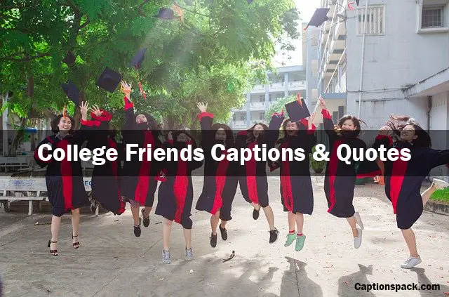 College Friends Captions & Quotes