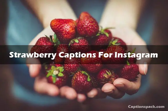 Strawberry Captions For Instagram