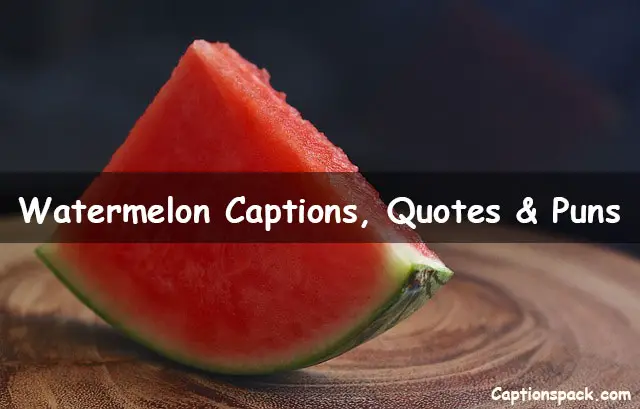 140+ Watermelon Instagram Captions, Quotes & Puns [2021]