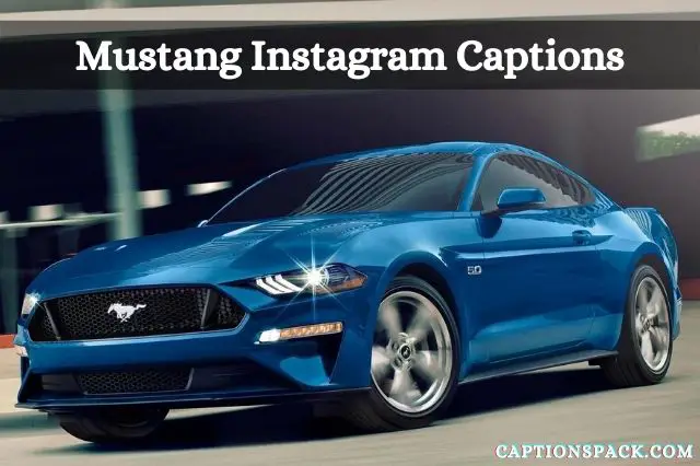 Mustang Instagram Captions