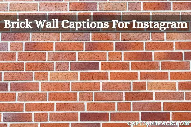 100+ Brick Wall Captions for Instagram [With Best Quotes]