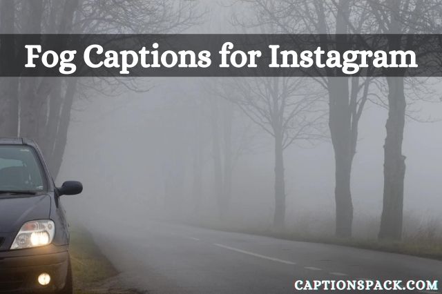 Fog captions for Instagram