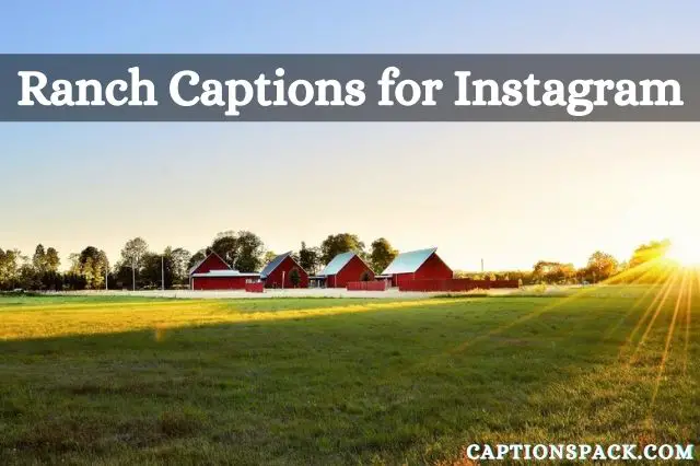 Ranch Instagram Captions