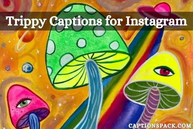 Trippy Captions For Instagram