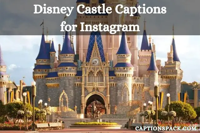 Disney Castle Instagram Captions