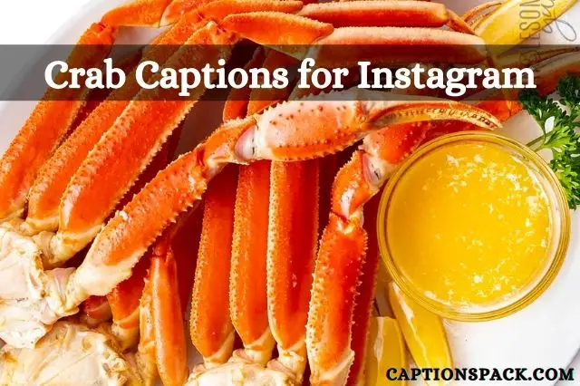 Crab Captions for Instagram