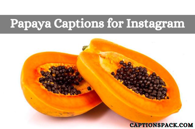 Papaya Captions for Instagram