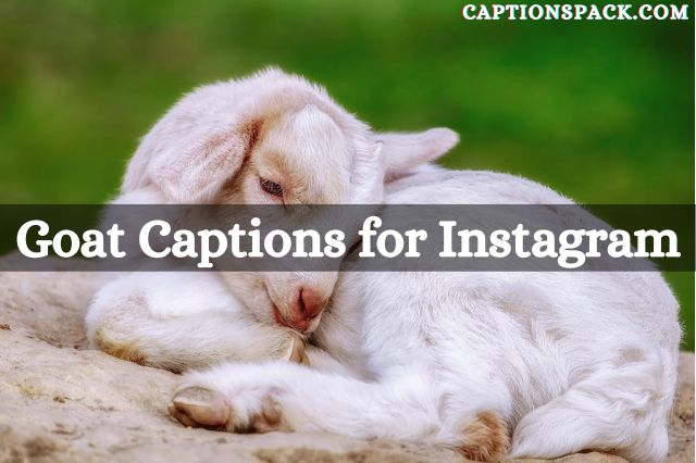 goat captions for instagram