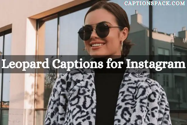 leopard captions for instagram