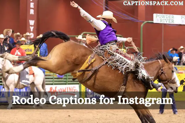 Rodeo Captions for Instagram