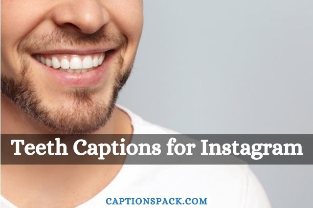 185-funny-instagram-captions-to-copy-and-paste-for-your-favorite