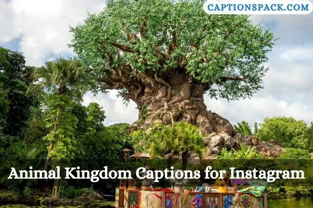 300+ Animal Kingdom Captions for Instagram with Quotes