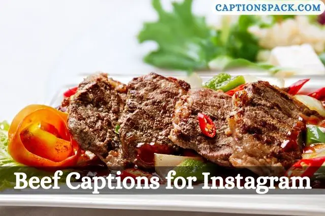 Beef Captions for Instagram