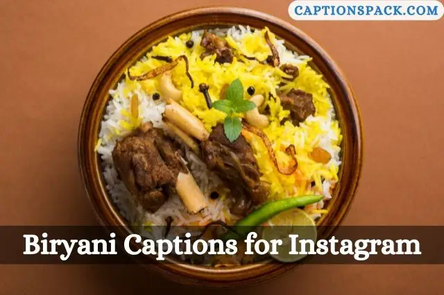 Biryani Captions for Instagram