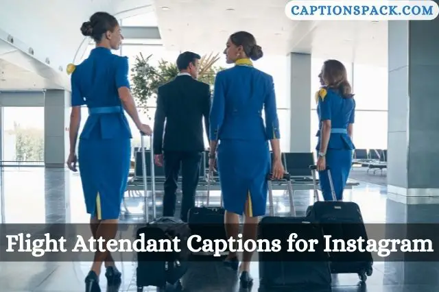 Flight Attendant Captions for Instagram