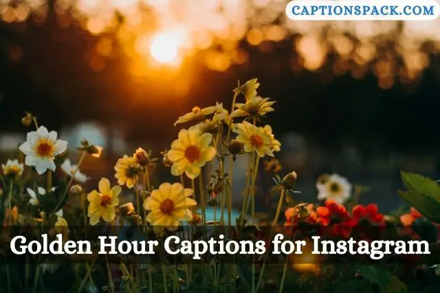 Golden Hour Captions for Instagram