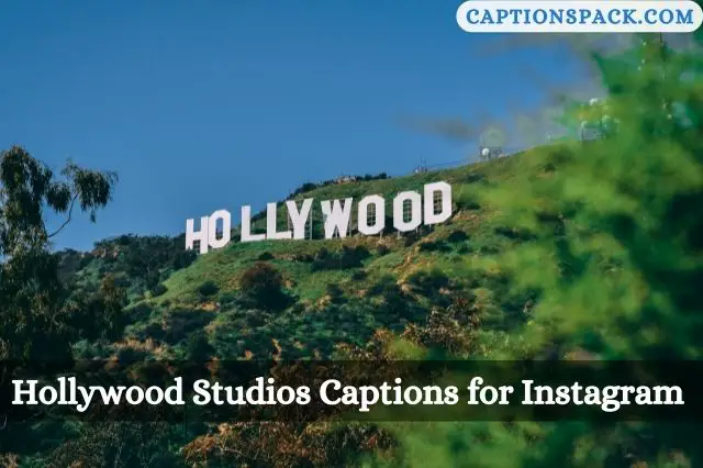 Hollywood Studios Captions for Instagram