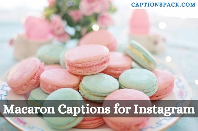 Macaron Captions for Instagram