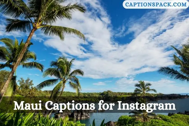 Maui Captions for Instagram