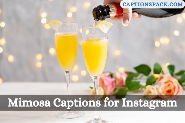 Mimosa Captions for Instagram