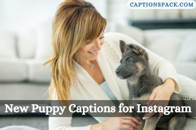 Welcome New Puppy Captions for Instagram