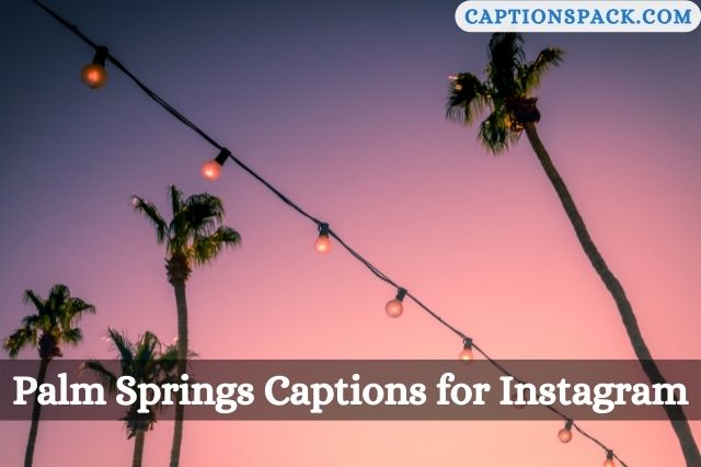 Palm Springs Captions for Instagram