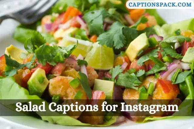 Salad Captions for Instagram
