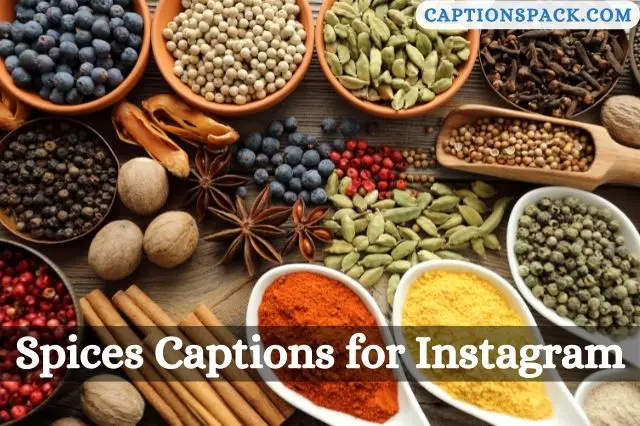 Spices Captions for Instagram