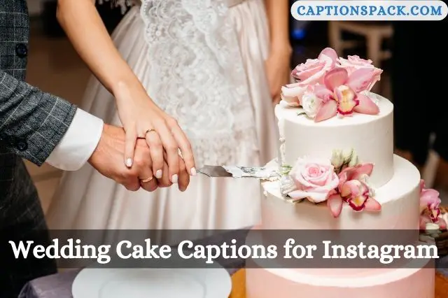 360 Best Cake Captions For Instagram To Add Extra Sweetness