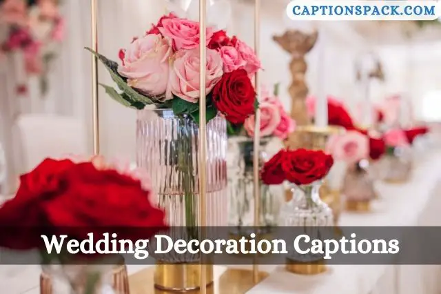 Wedding Decoration Captions for Instagram
