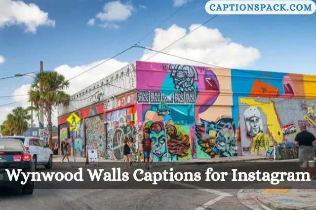 Wynwood Walls Captions for Instagram