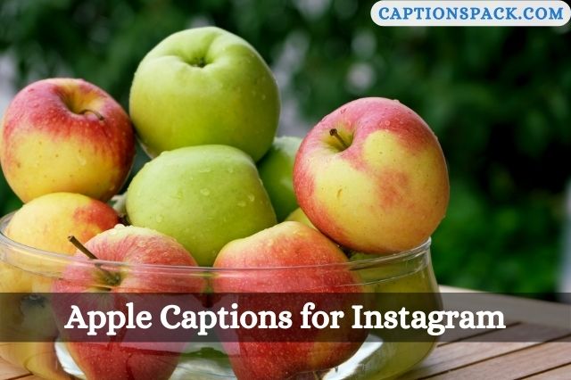 Apple Captions for Instagram