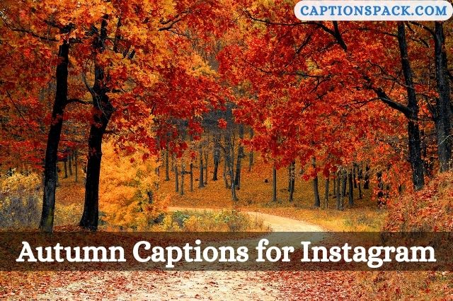 Autumn Captions for Instagram