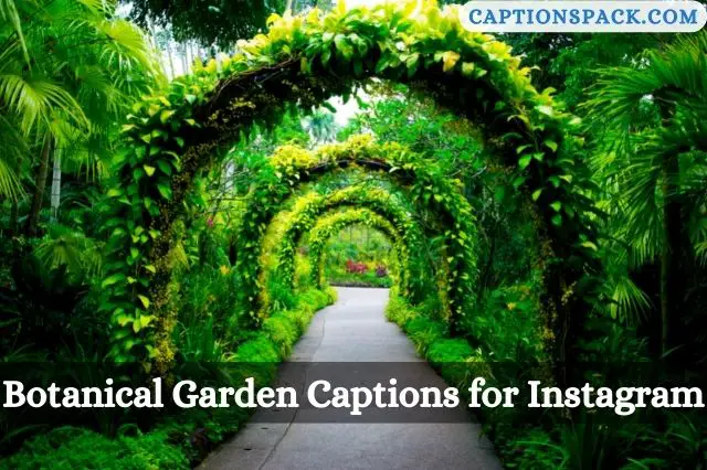 Botanical Garden Captions for Instagram