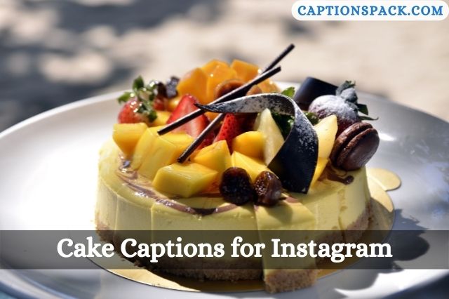 33 Perfect Cake Instagram Captions Everyone Will Love - Teodora Vegan