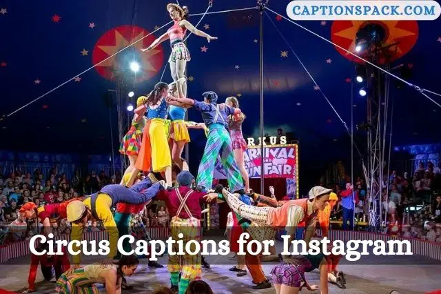 Circus Captions for Instagram