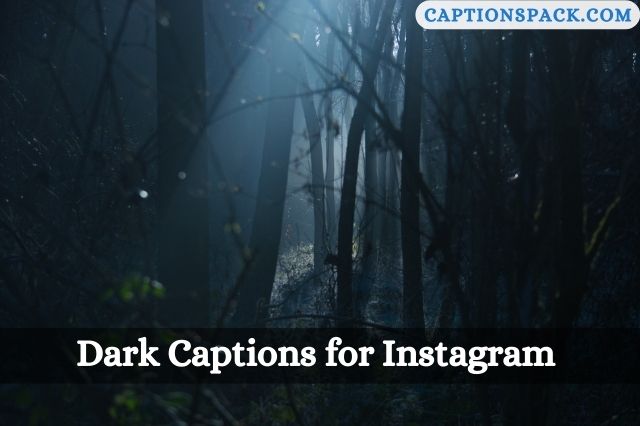 Dark Captions for Instagram 