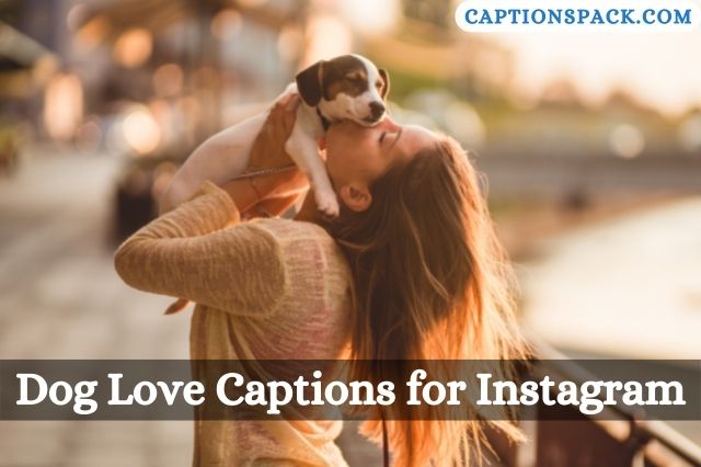 Dog Love Captions for Instagram