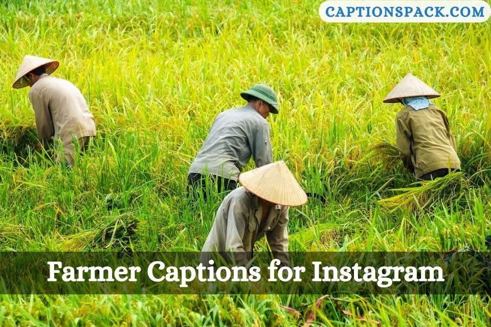 Funny Farmer Captions For Instagram