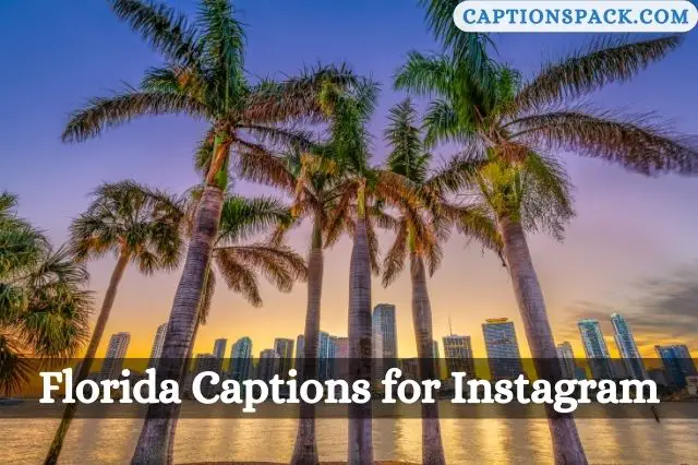 Florida Captions for Instagram