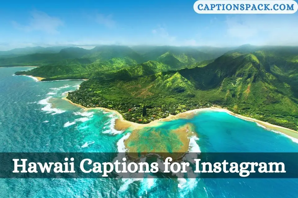 Hawaii Captions for Instagram