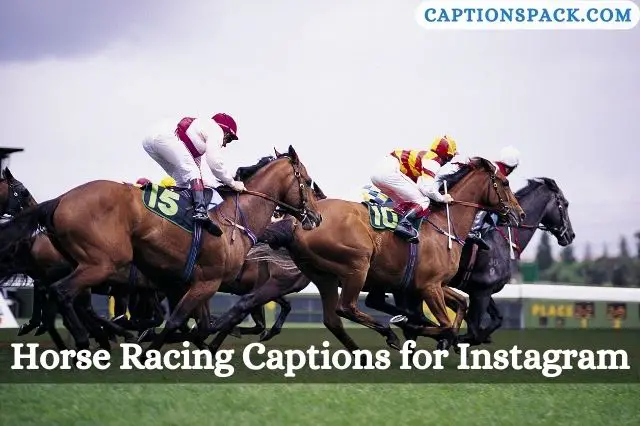 Horse Racing Captions for Instagram
