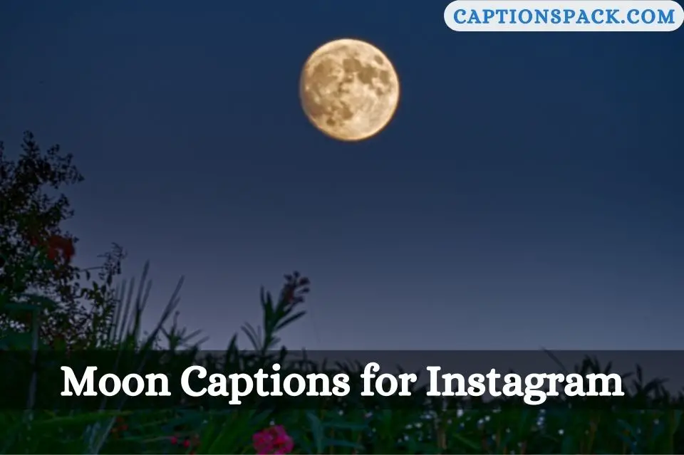Moon Captions for Instagram