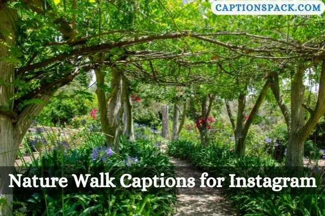 Nature Walk Captions for Instagram