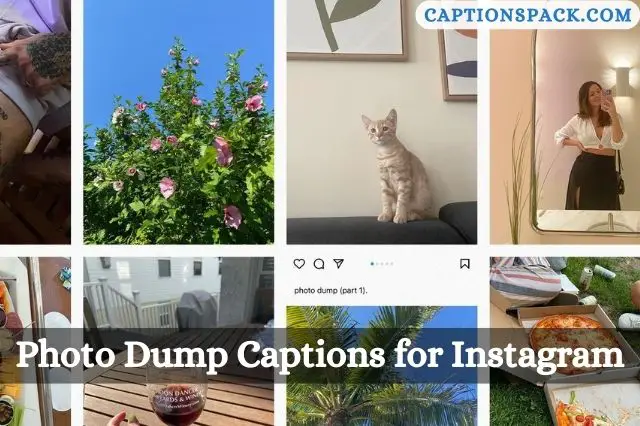 Photo Dump Captions for Instagram