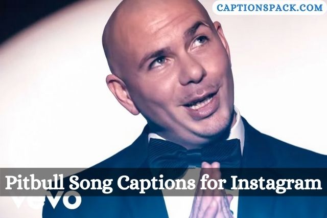 Pitbull Song Captions for Instagram