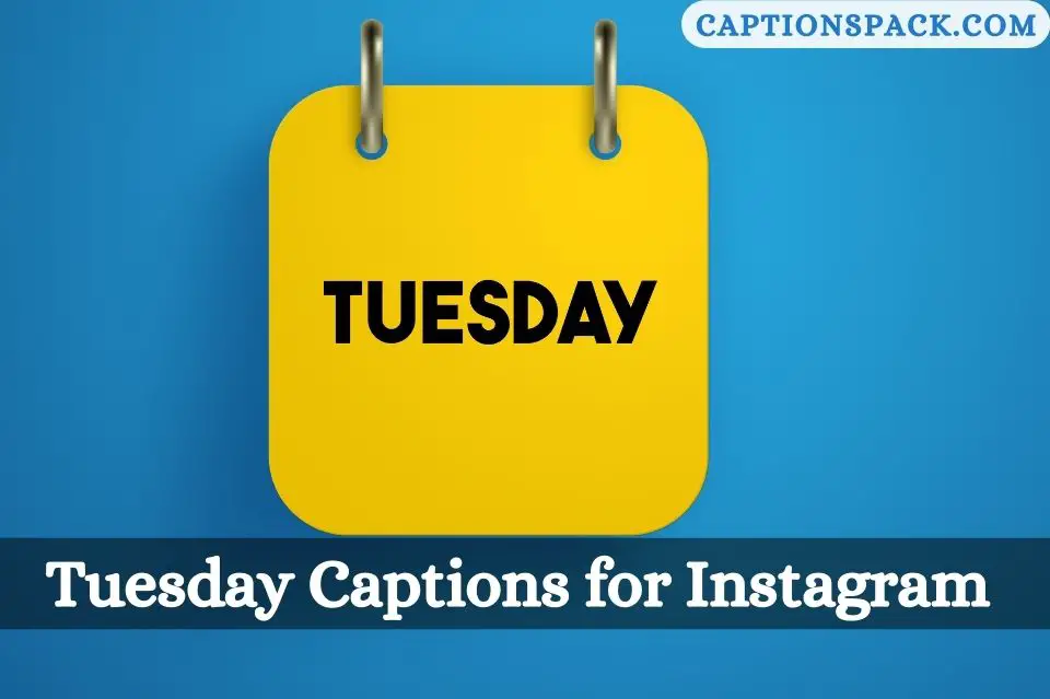 Tuesday Captions for Instagram