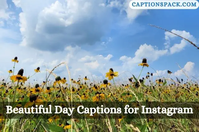 Beautiful Day Captions for Instagram