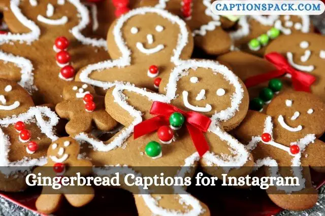 Gingerbread Captions for Instagram